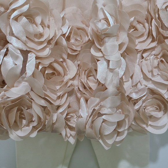 Nannette Blush Pink 2-Piece Dress Set 6/9M (NWT) - Picture 3 of 4